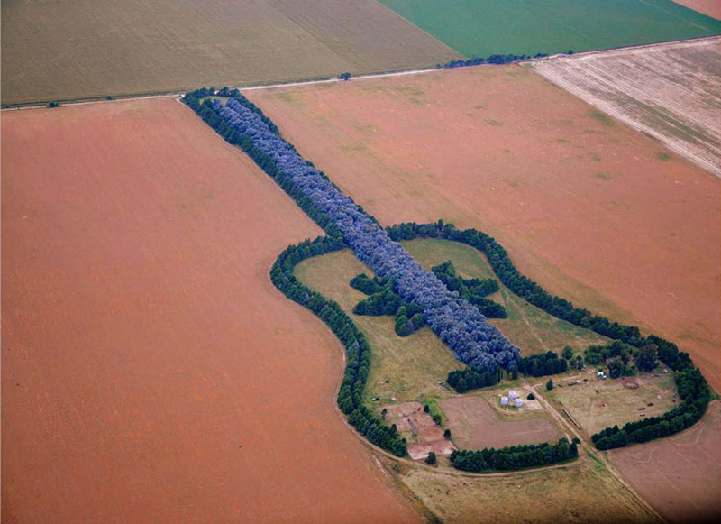 man-plants-guitar-shaped-forest-for-wife-in-pampas-argentina-5