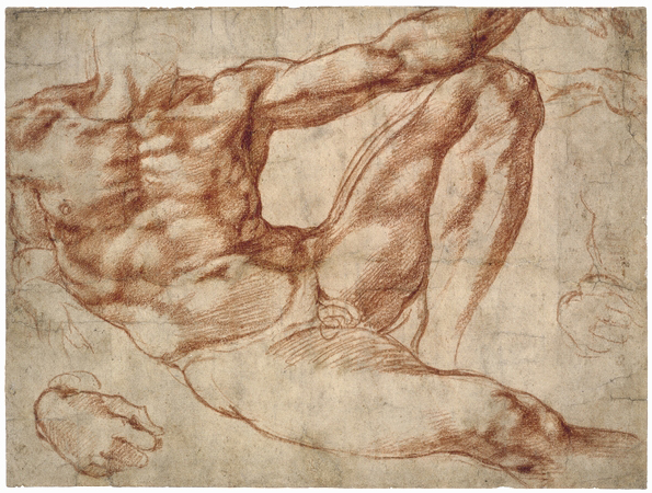 Adam_study_-_Michelangelo